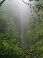 Madeira0868.JPG